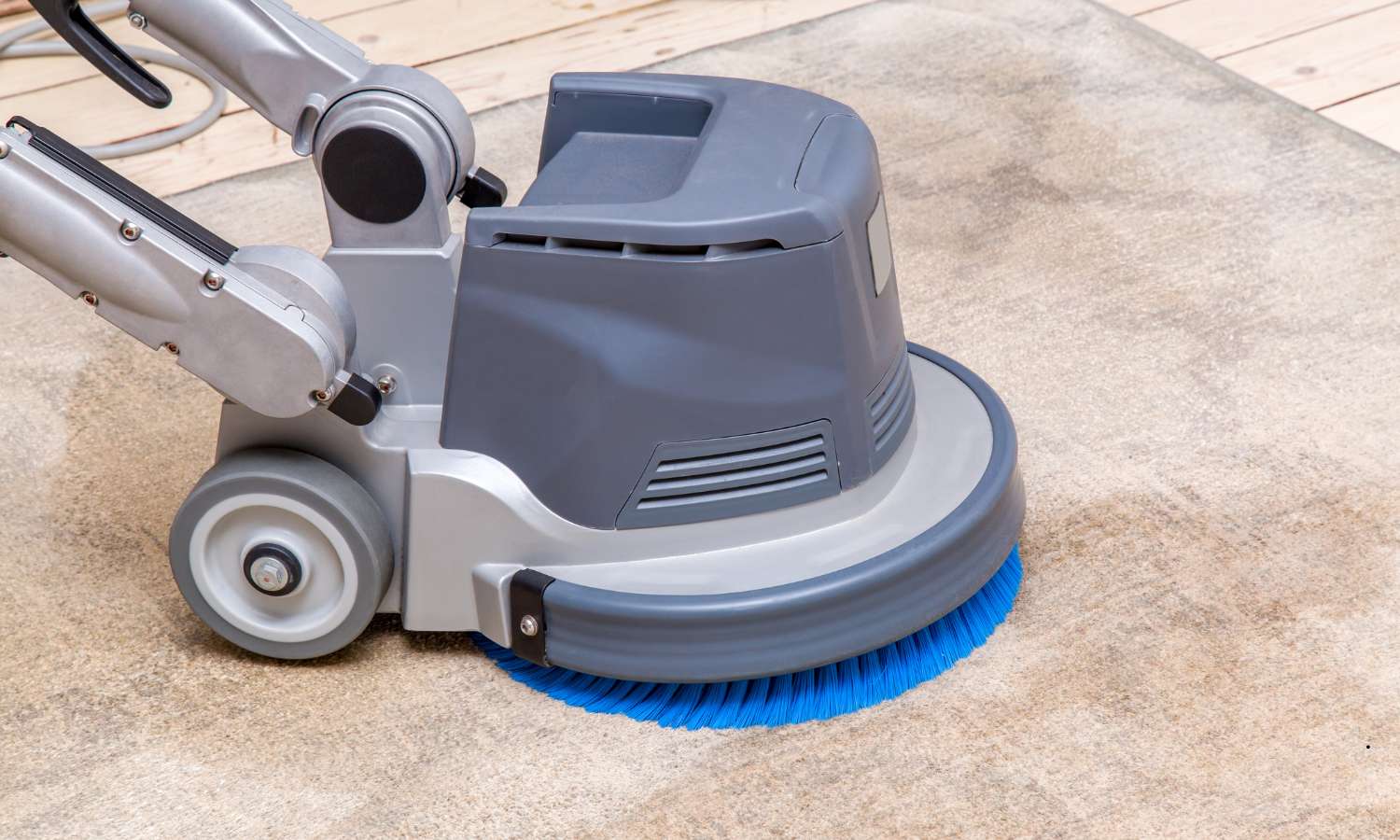 Can Carpet Cleaning Cause Mold