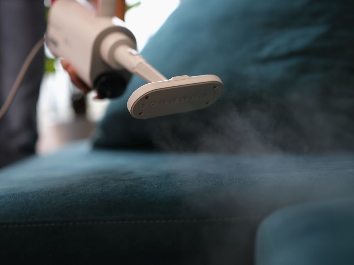 Does Steam Cleaning Remove Odors From a Couch
