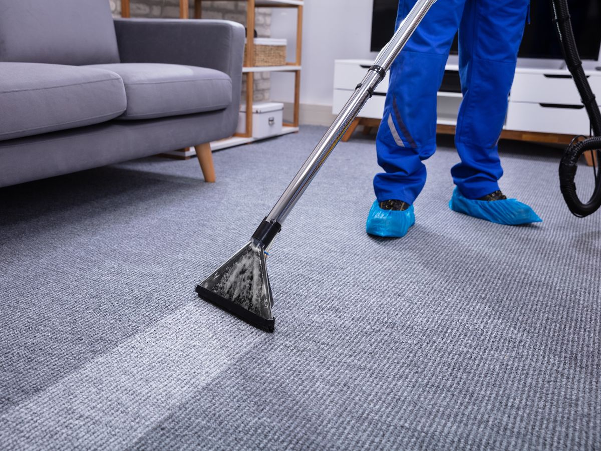 How Much Is Area Rug Cleaning