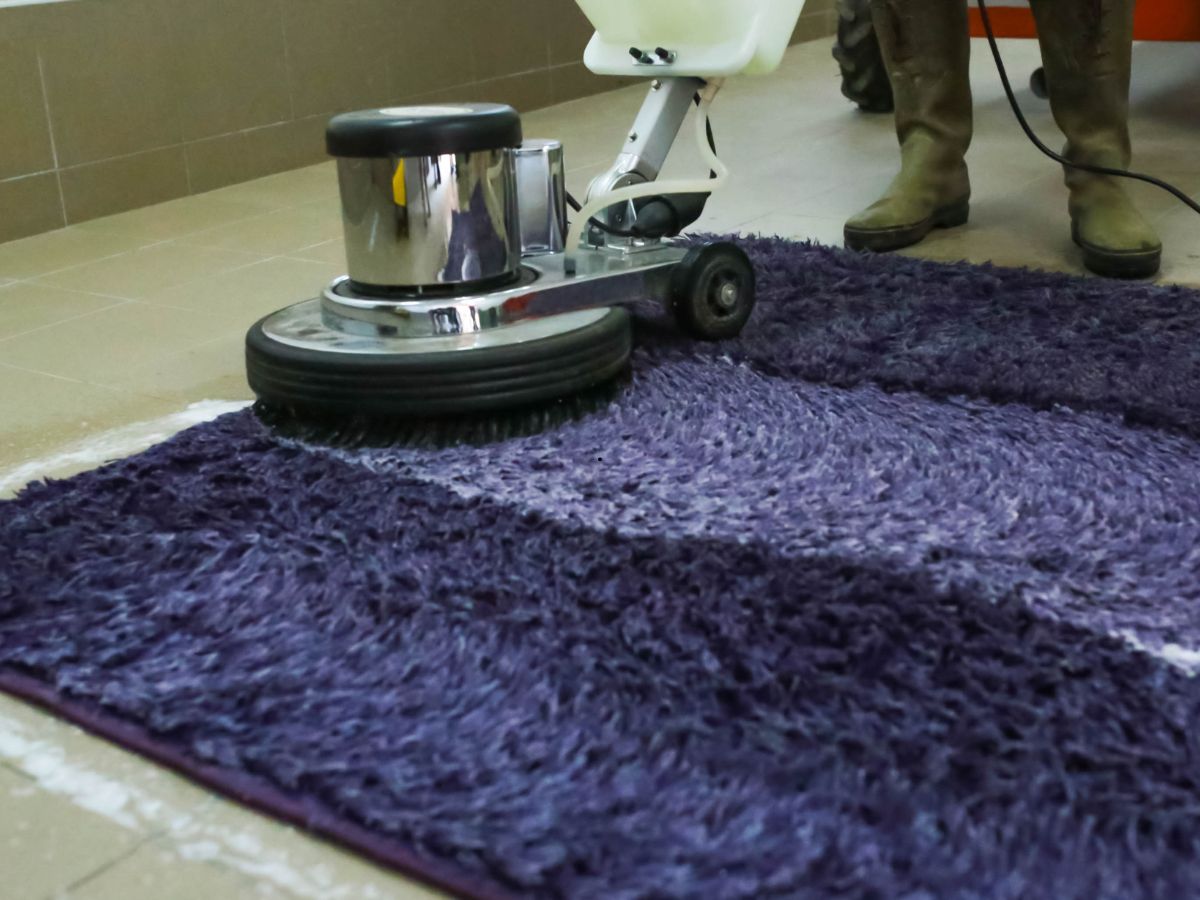 How Much Is Professional Rug Cleaning?