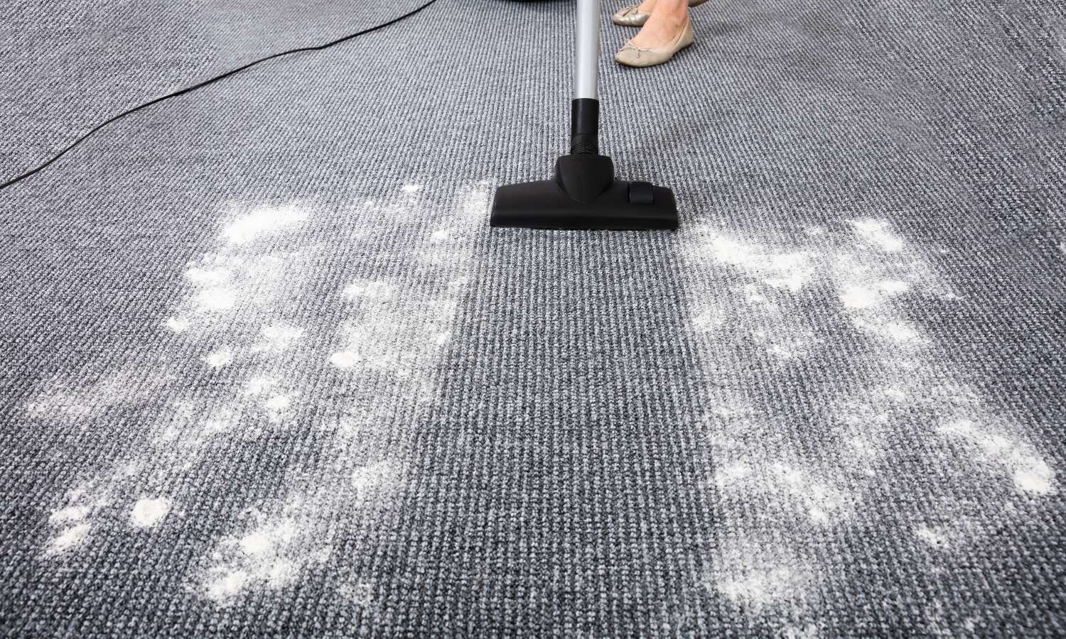 How to Dry Carpet After Cleaning
