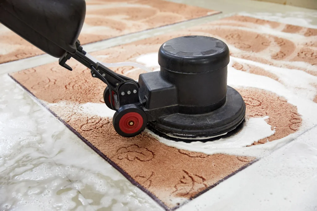 Rug Cleaning in Bronx