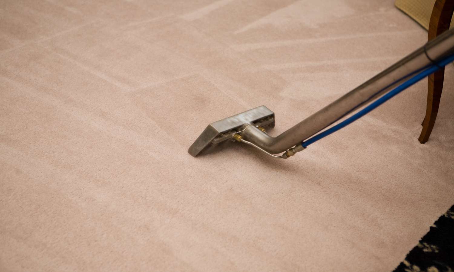 Steam Clean a Rug on Hardwood Floors
