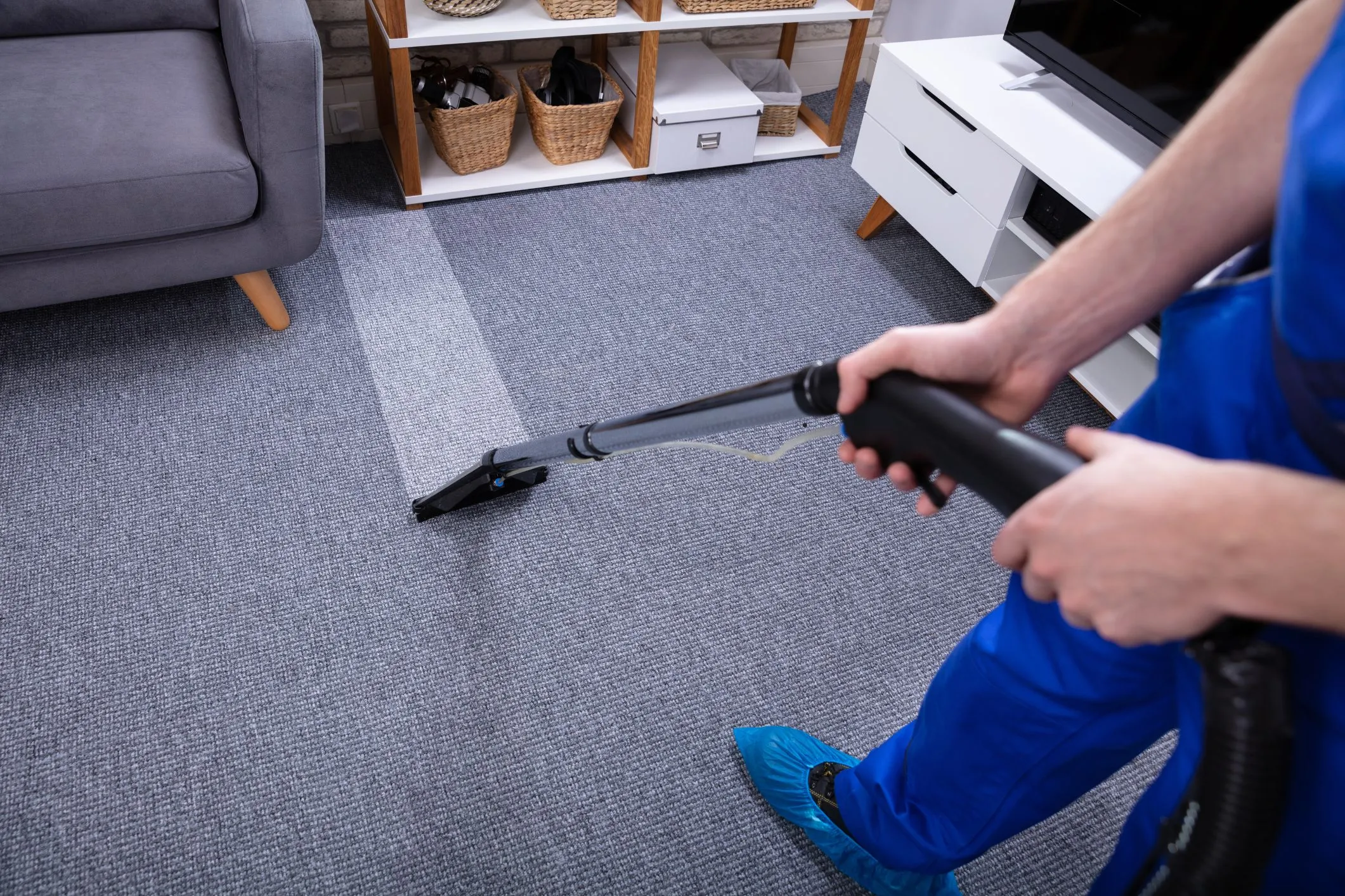 Our Safe and Effective Rug Cleaning Process for Bronx Properties