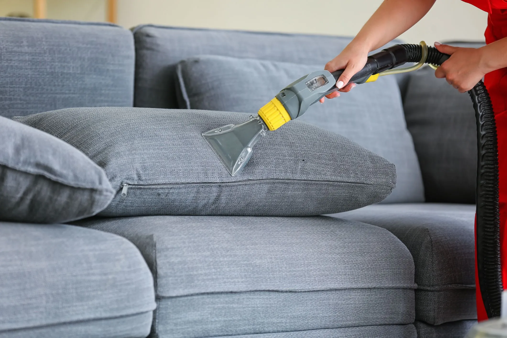 Couch Cleaning in Bronx