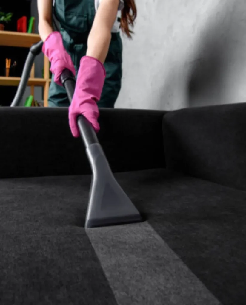Couch Cleaning in Bronx