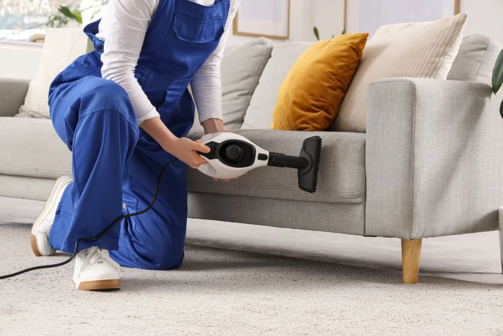 Our Advanced Sofa Cleaning and Sanitization Process Across Bronx