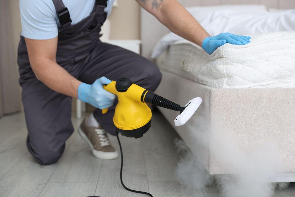Our Eco-Friendly Mattress Cleaning Process in Staten Island