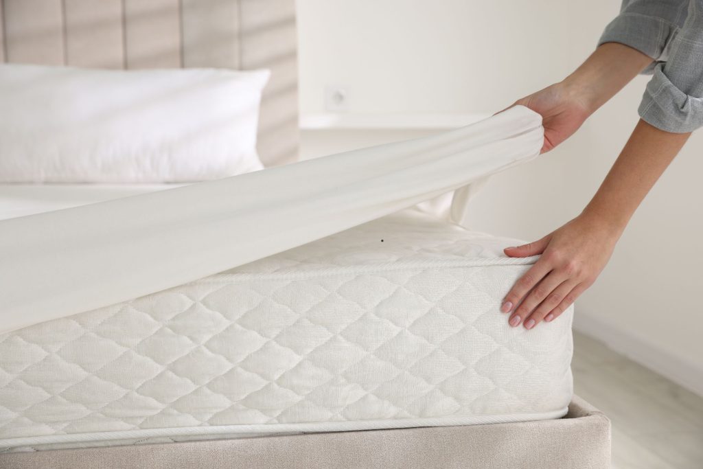 Cleaning Services in Tribeca