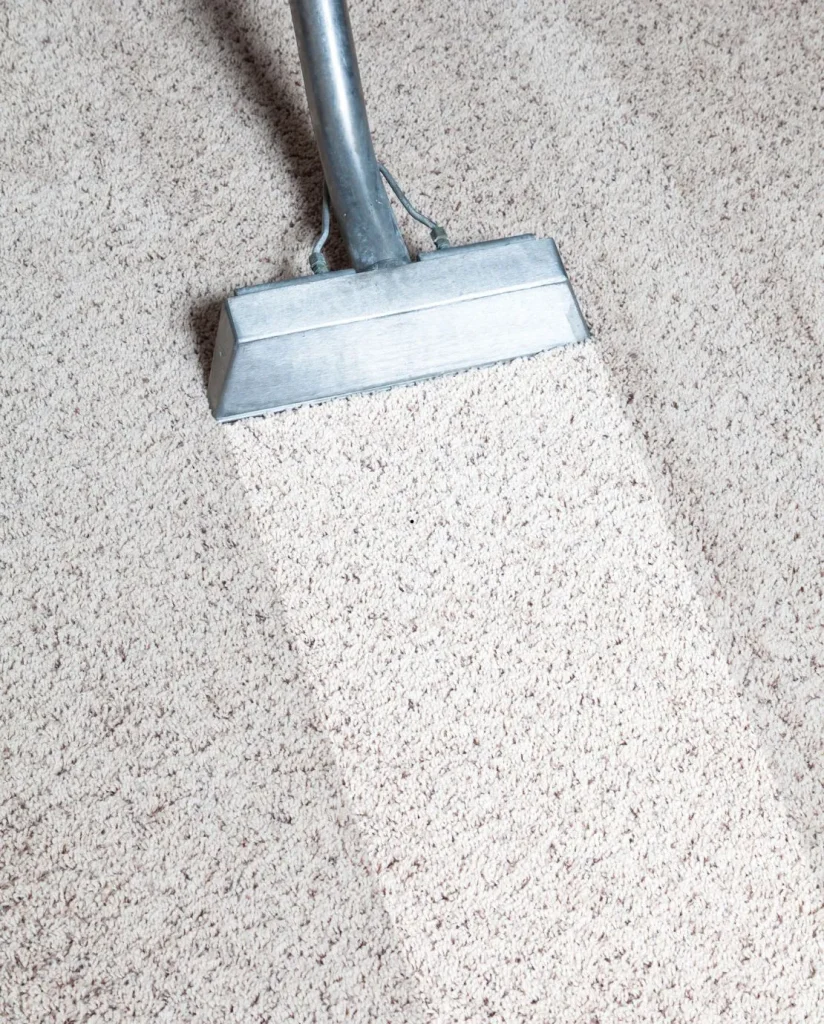 Get Your Rugs Professionally Cleaned Today!