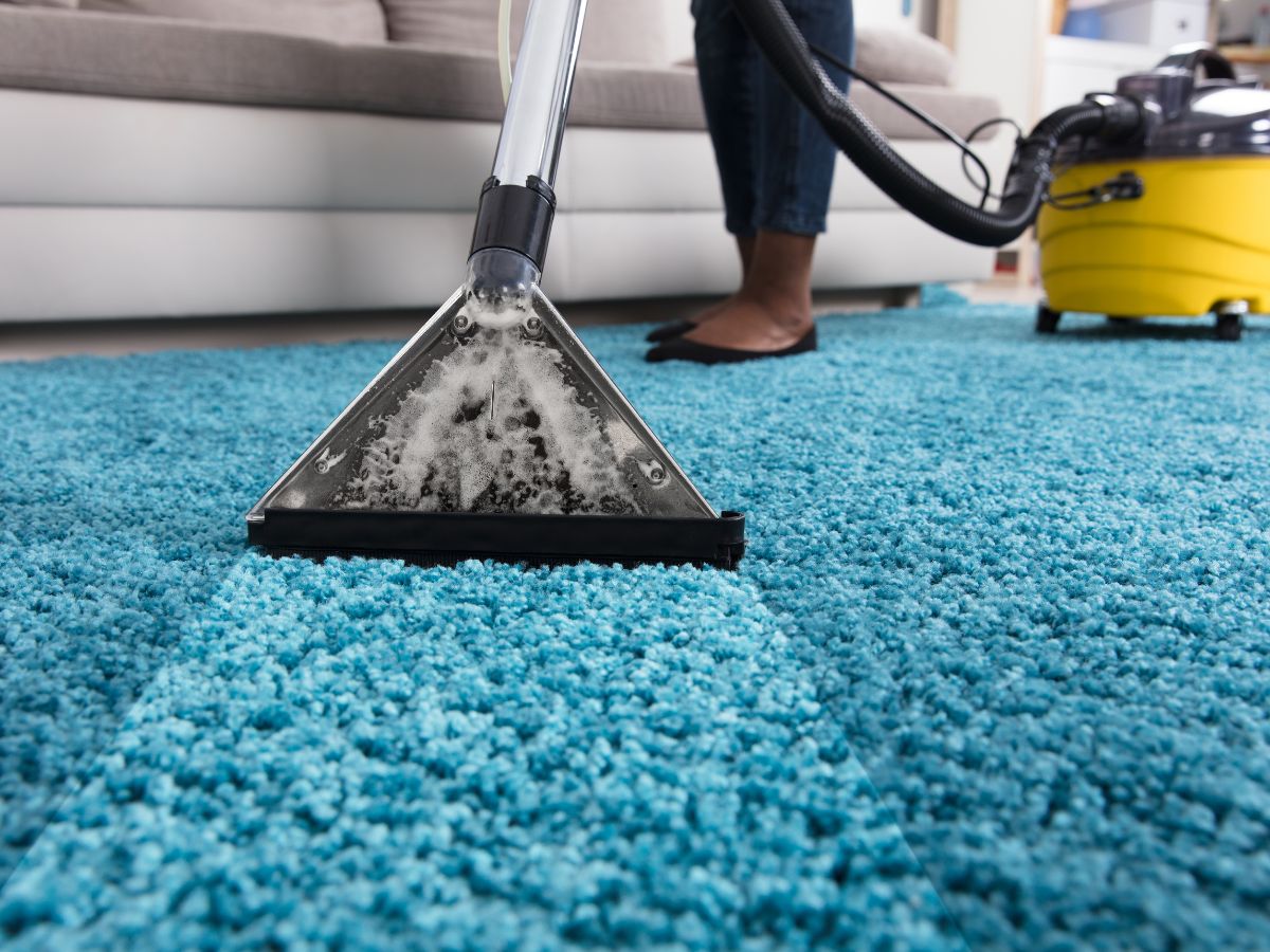 Where to Take an Area Rug for Cleaning