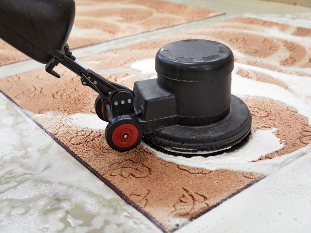Why Is Professional Area Rug Cleaning Worth It?