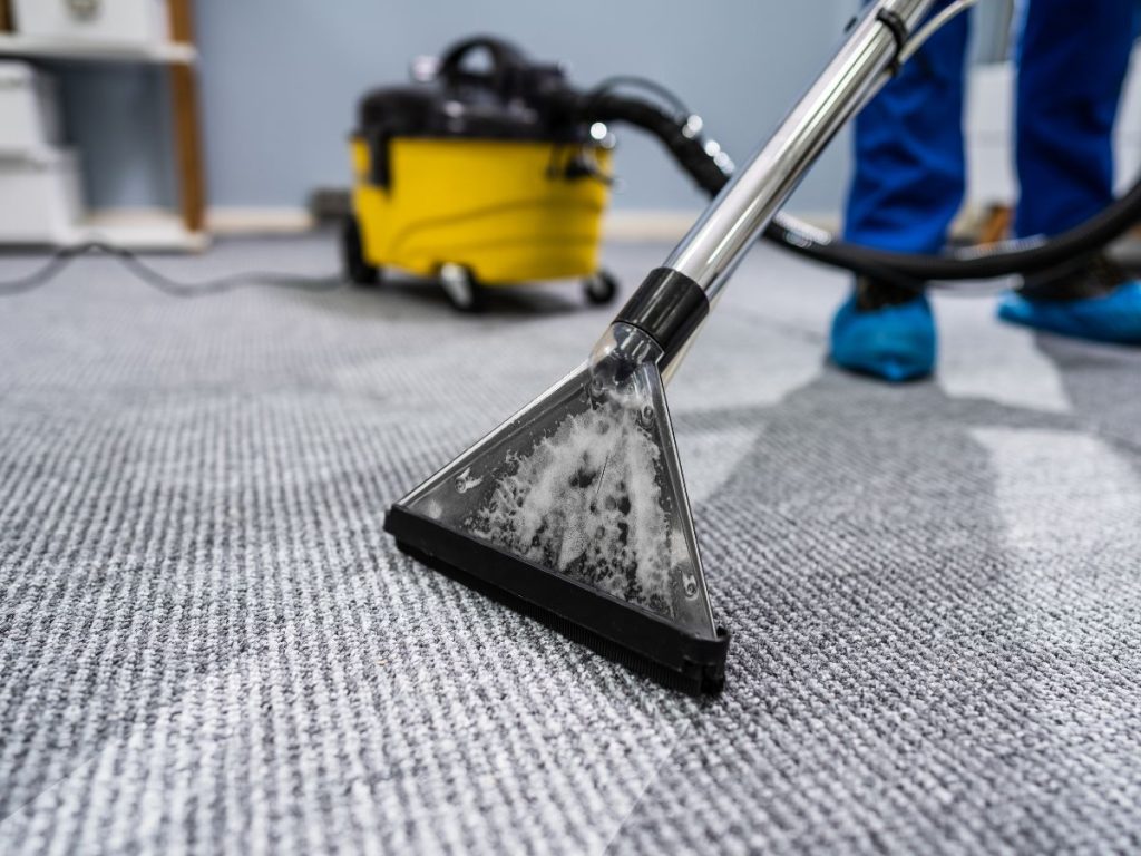Why is professional rug cleaning worth the investment?