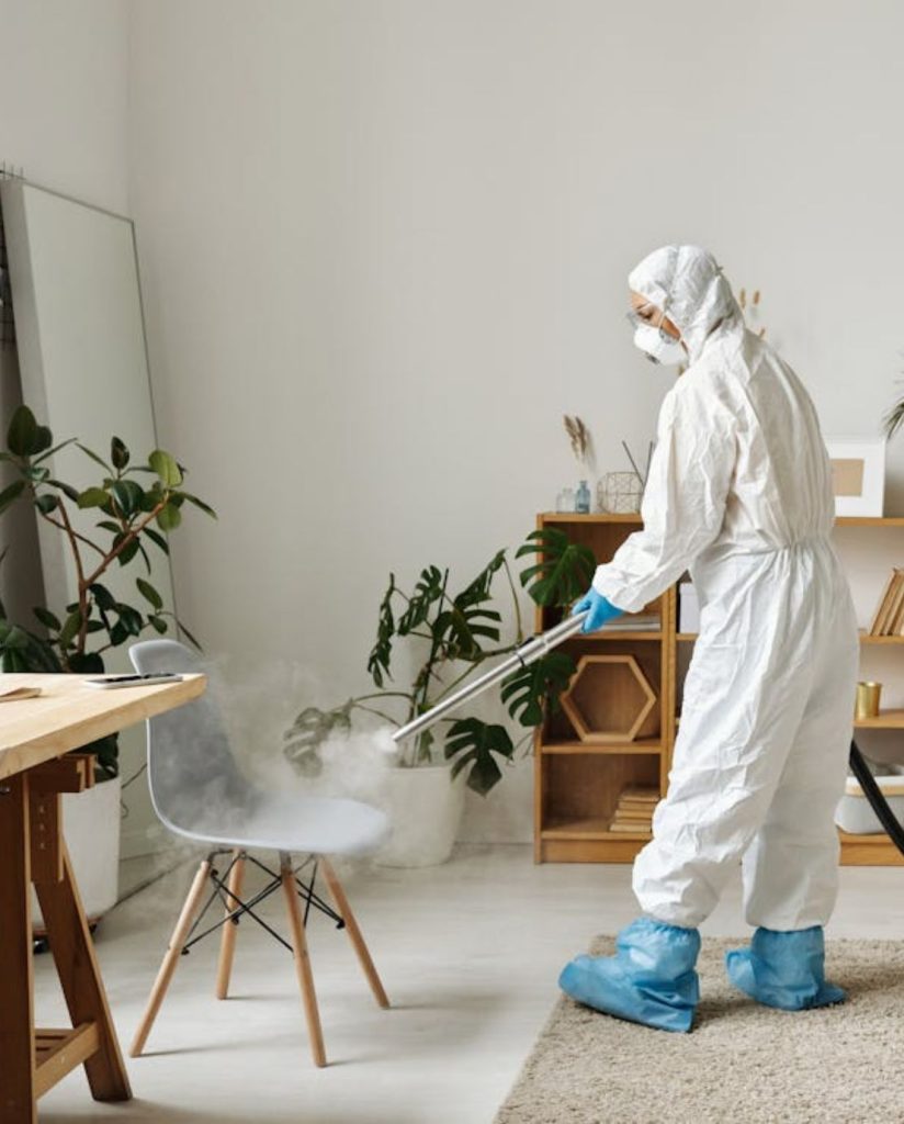 eco-friendly upholstery cleaning for brooklyn homes