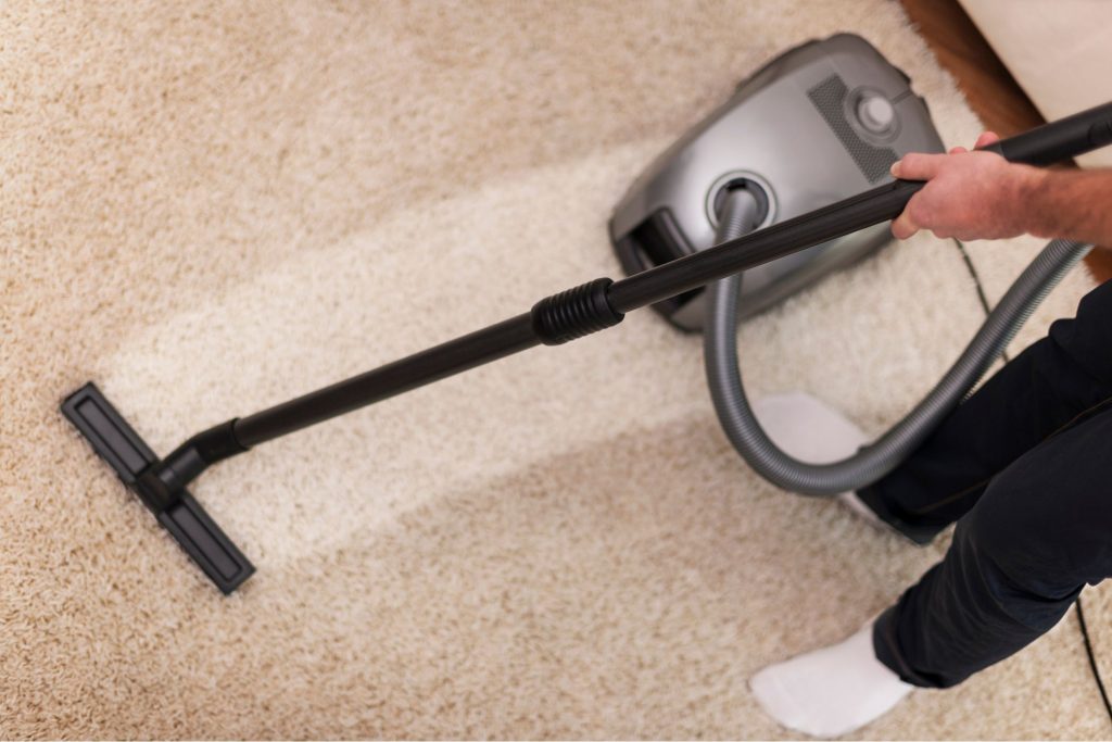 professional rug cleaning services in queens