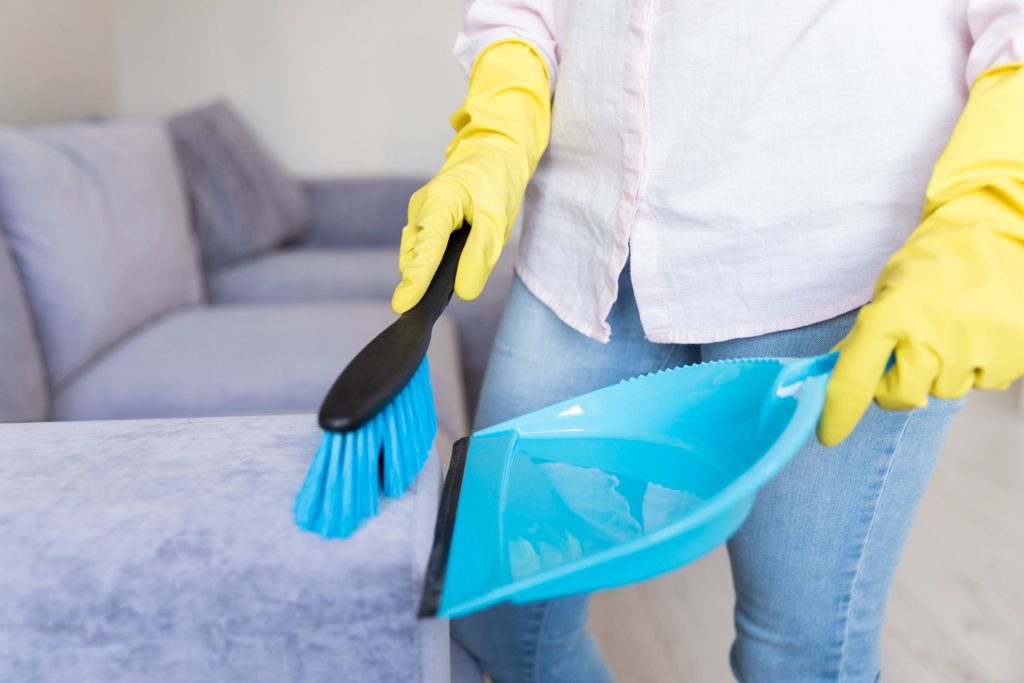 professional upholstery cleaning services bronx