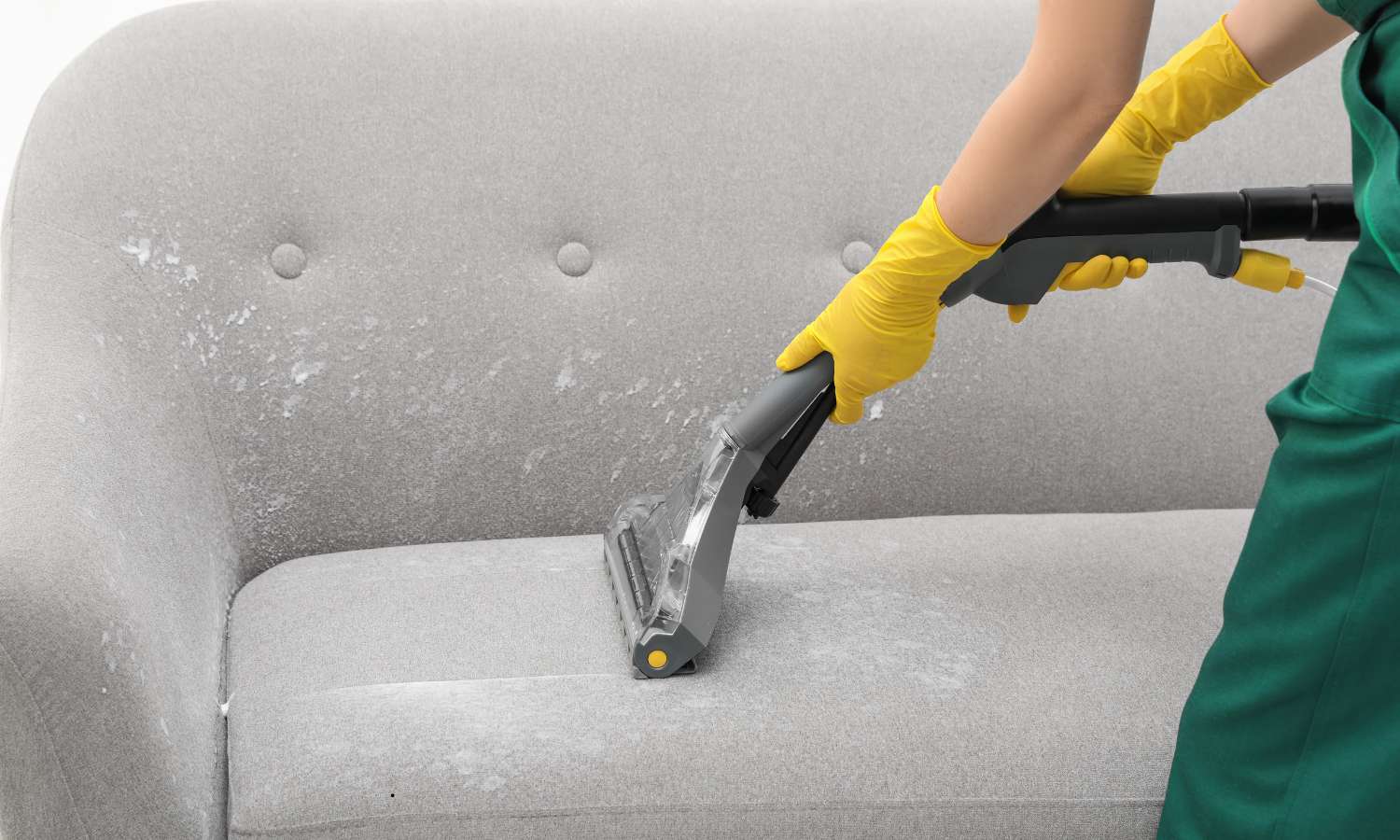 remove mold from upholstery