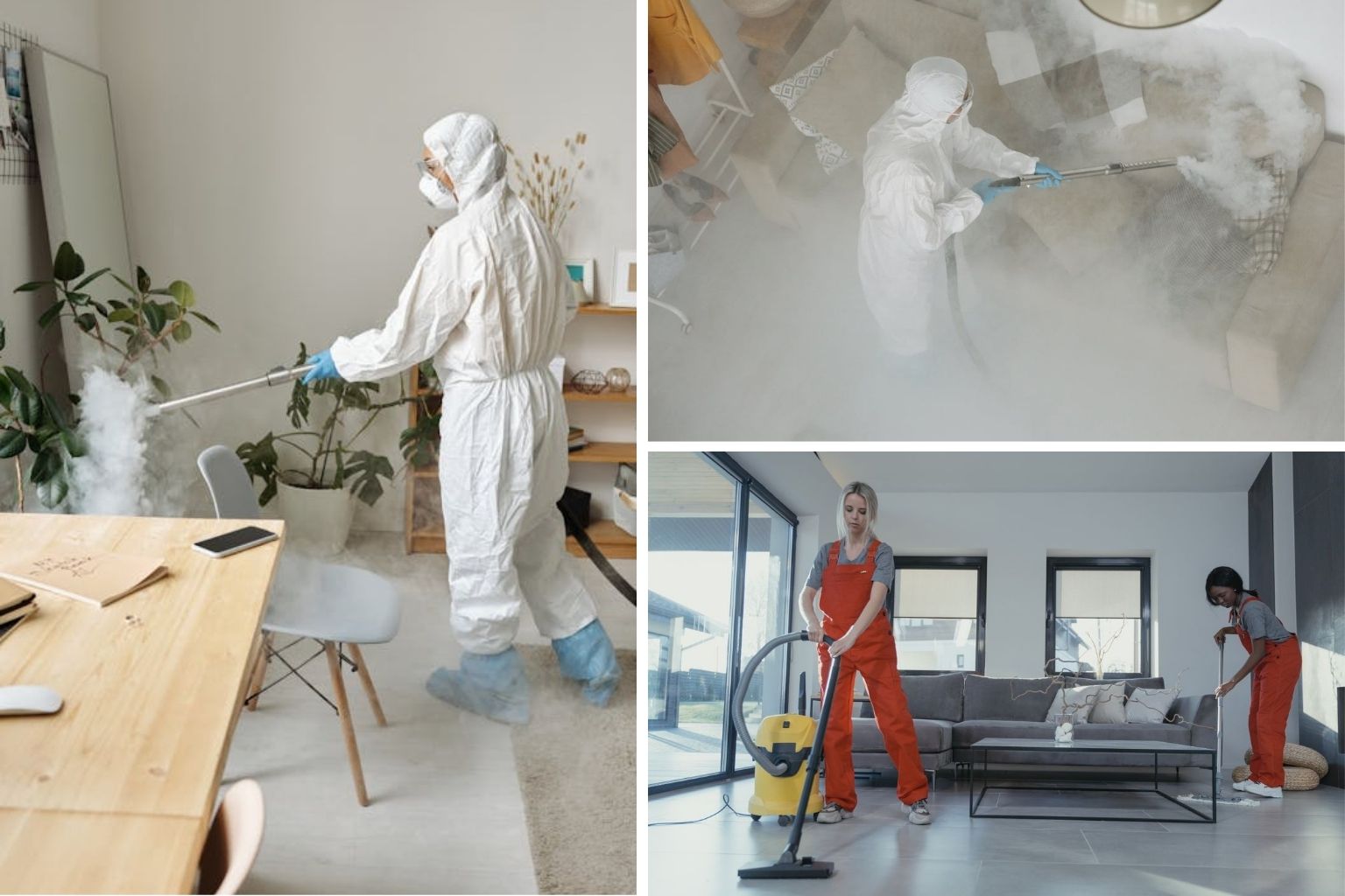 residential & commercial upholstery cleaning process in brooklyn