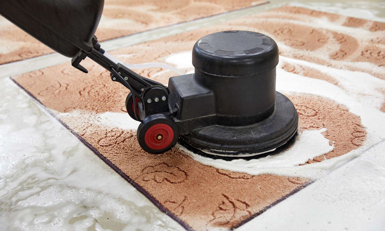 sisal rug clean
