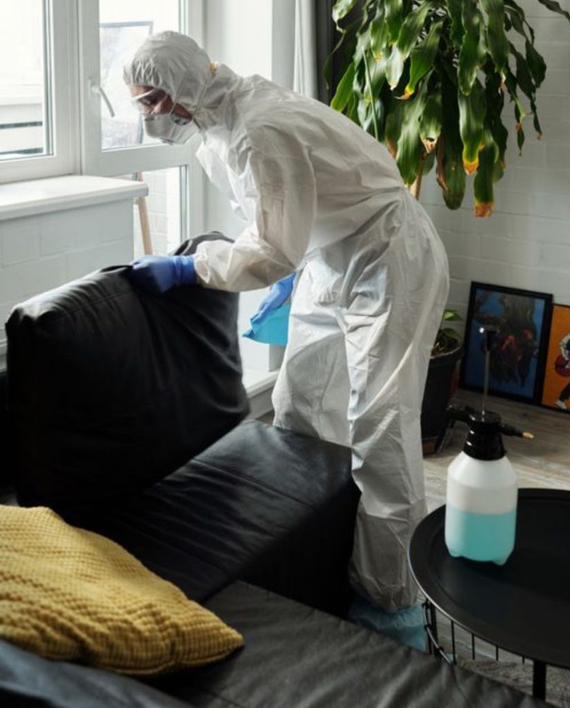 upholstery cleaning services in the bronx