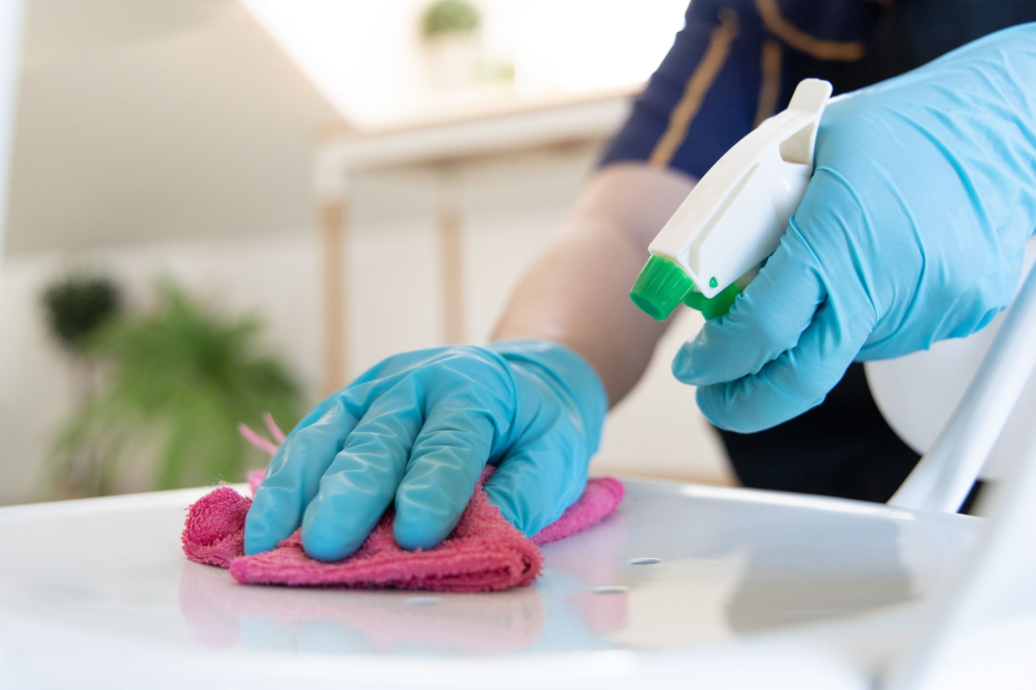 Our Upholstery Cleaning Process in Tribeca