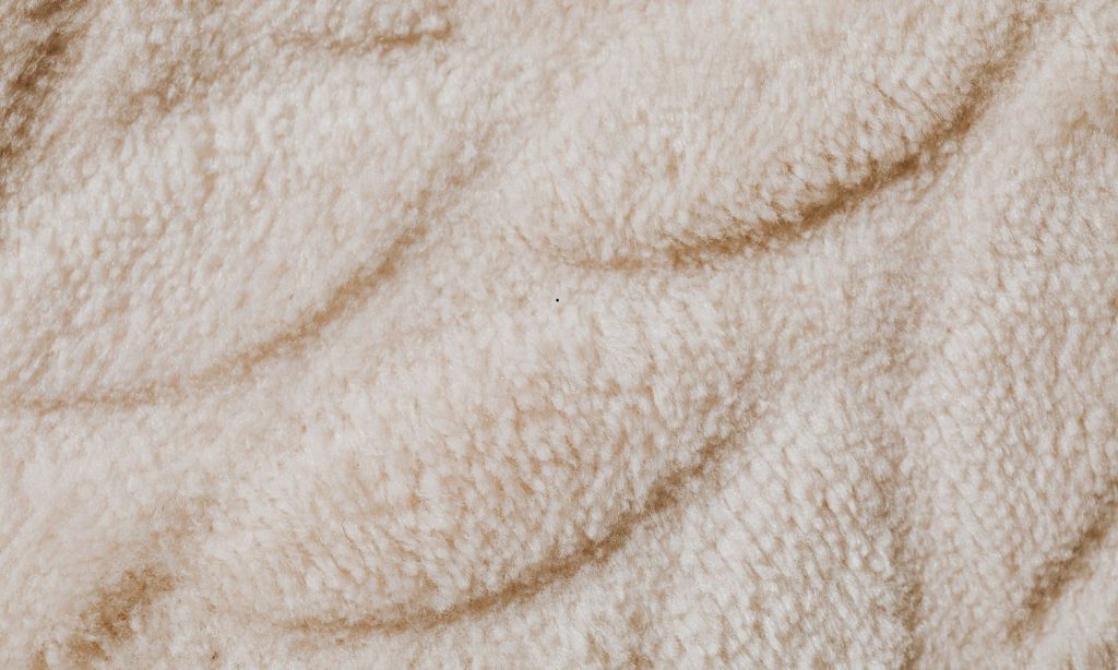 Area Rug vs Wall-to-Wall Carpet Cleaning