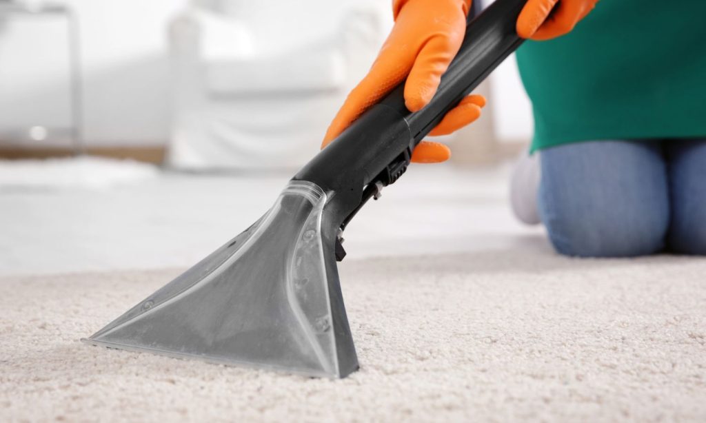 Cleaning Method Is Best for Pet Stains