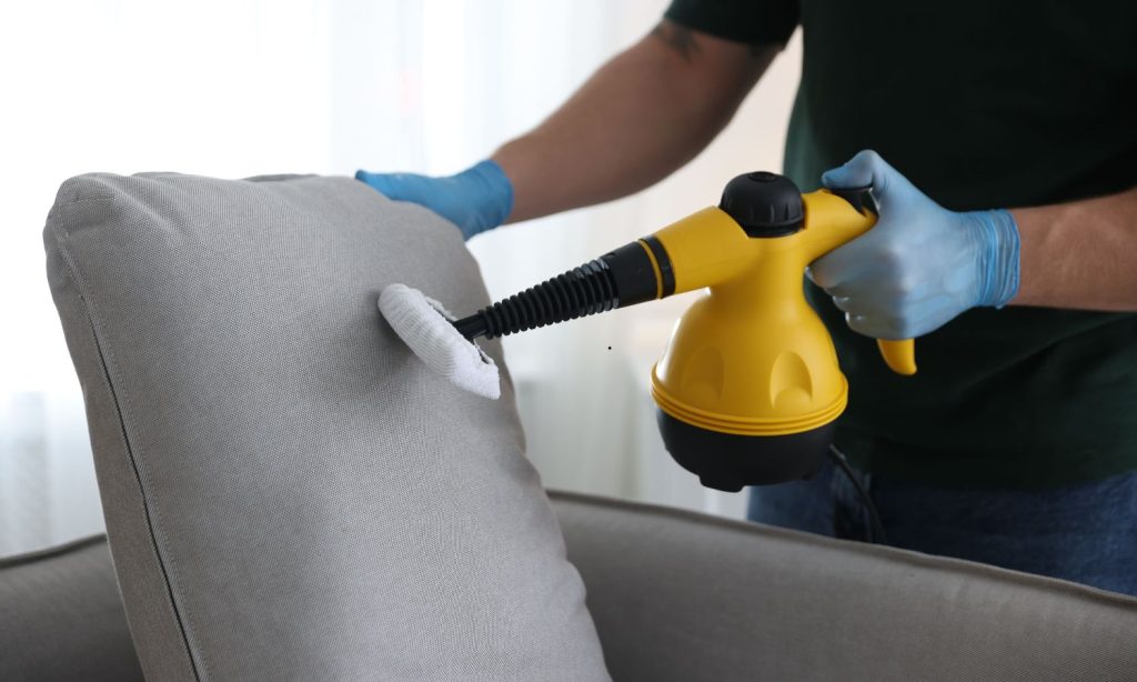 Steam Cleaning vs Chemical Cleaning